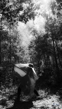The bush BW3.jpg