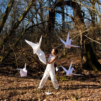 Origami1.jpg