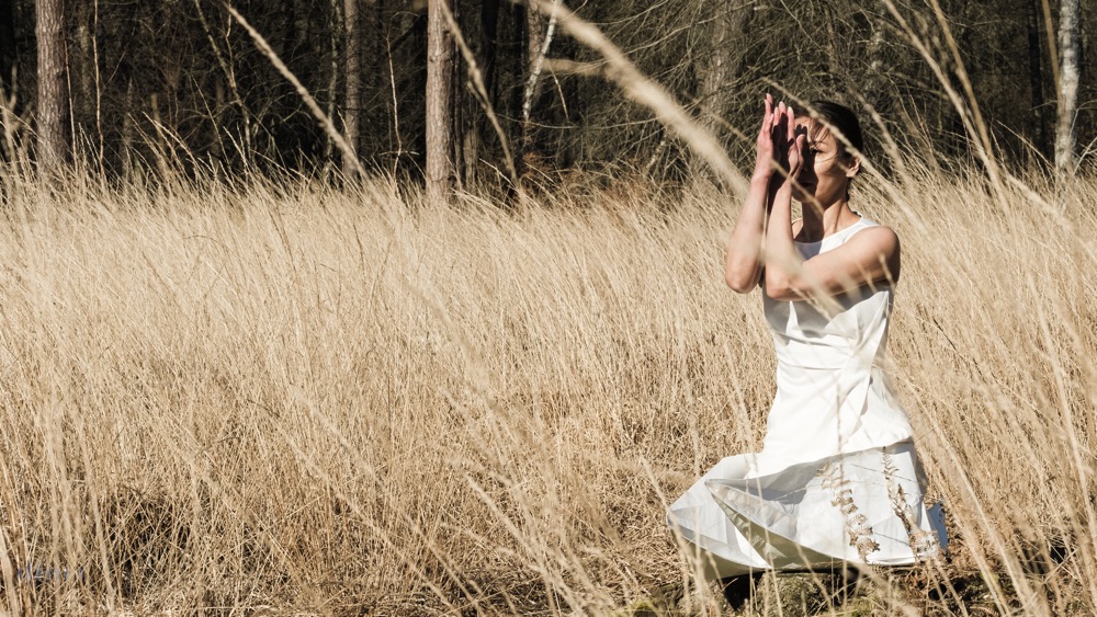 Tsuru, research image for Ahimsa, 02/2023