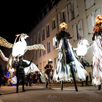 bird night parade33.jpg