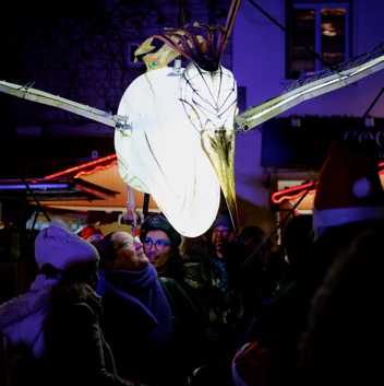 bird night parade56.jpg