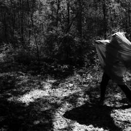 The bush BW.jpg .jpg